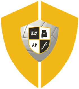 Performance Youth Academy banner logo