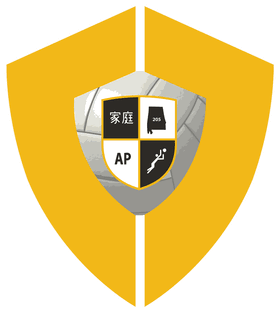 Performance Youth Academy banner logo